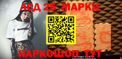 индика Абакан
