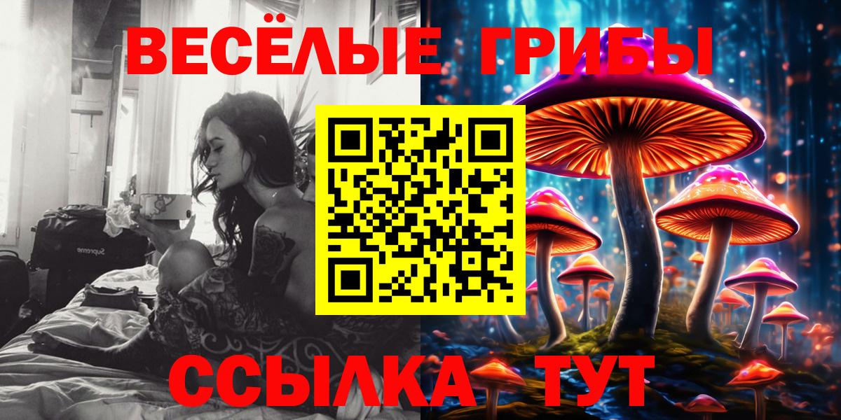Россия  Псилоцибиновые грибы мухоморы  Вход с VPN 