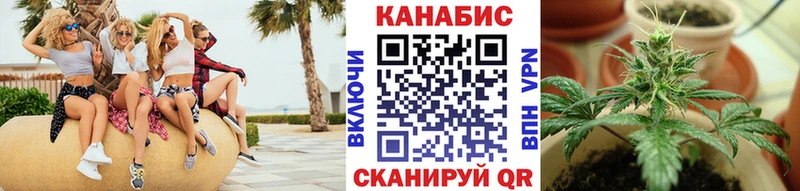 Бошки марихуана THC 21%  цены   Омск 